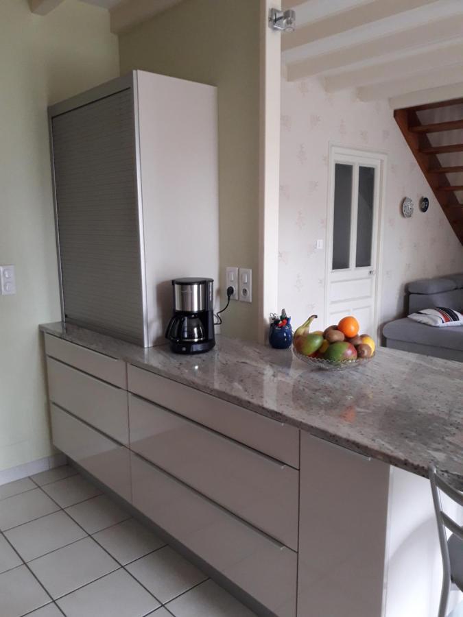 Le Logis De Lange Apt Les Aigrettes Saint-Hilaire-la-Palud Buitenkant foto