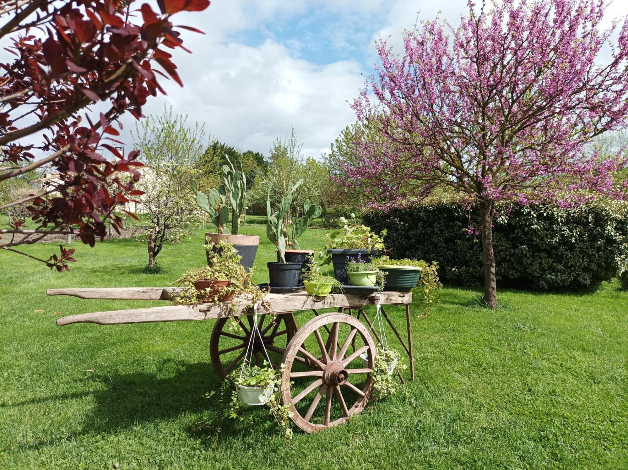 Le Logis De Lange Apt Les Aigrettes Saint-Hilaire-la-Palud Buitenkant foto
