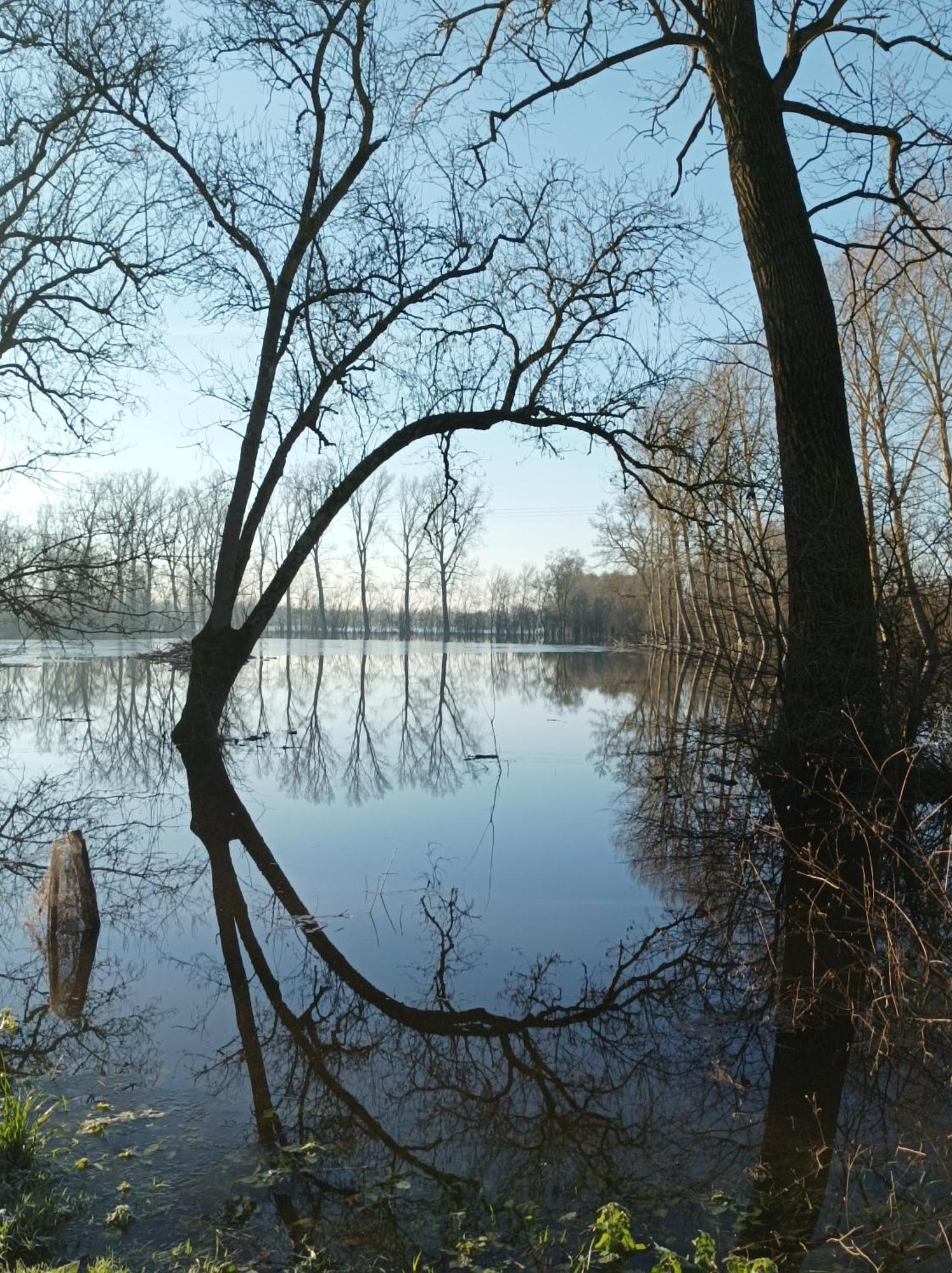 Le Logis De Lange Apt Les Aigrettes Saint-Hilaire-la-Palud Buitenkant foto