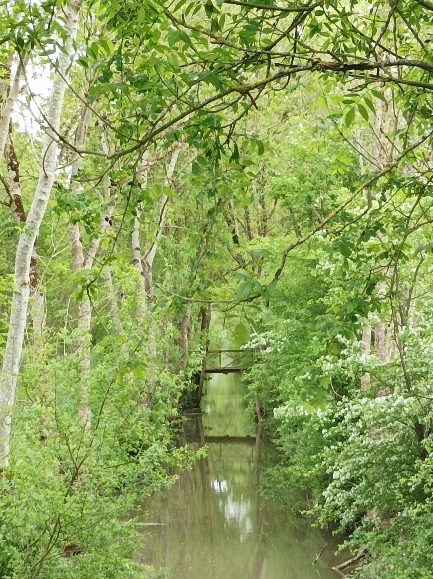Le Logis De Lange Apt Les Aigrettes Saint-Hilaire-la-Palud Buitenkant foto